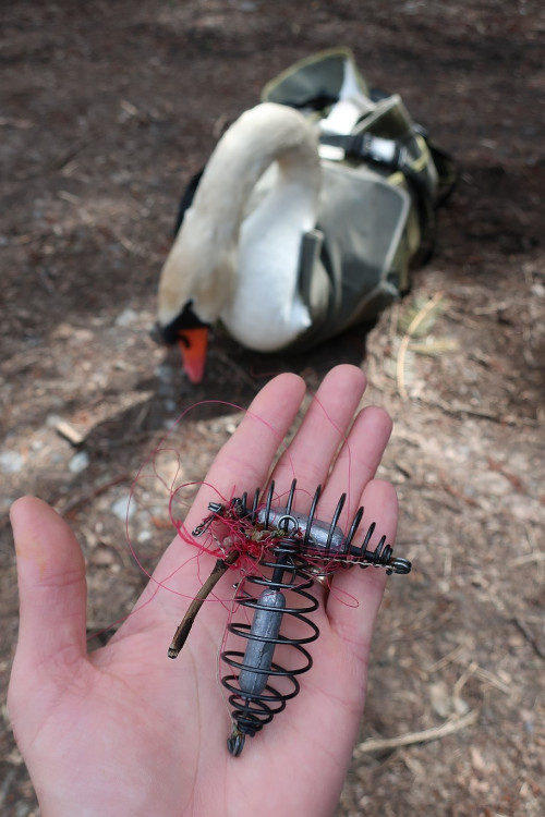 FOTOGALERIE: Zubní lékařka Hana Makoňová v akci
