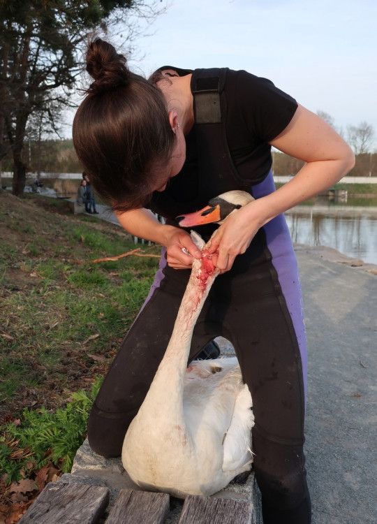 FOTOGALERIE: Zubní lékařka Hana Makoňová v akci