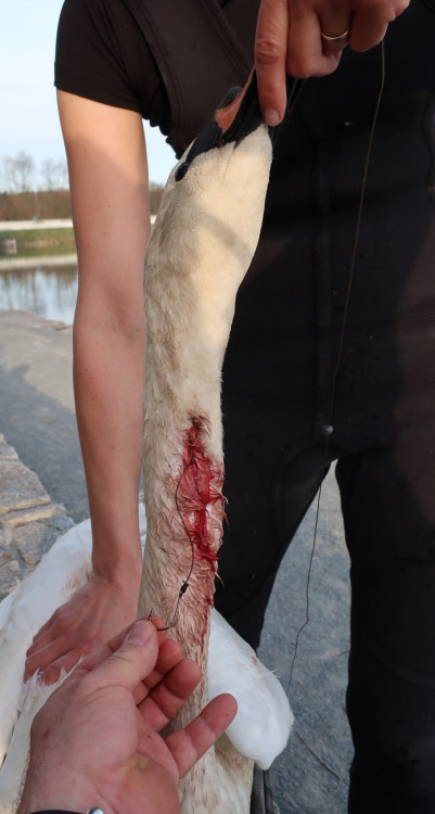 FOTOGALERIE: Zubní lékařka Hana Makoňová v akci