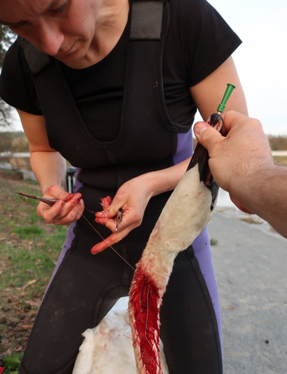 FOTOGALERIE: Zubní lékařka Hana Makoňová v akci