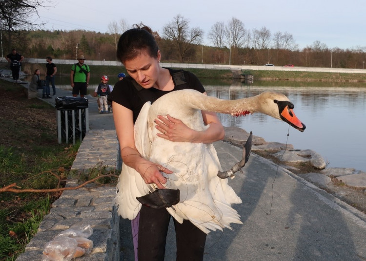 FOTOGALERIE: Zubní lékařka Hana Makoňová v akci
