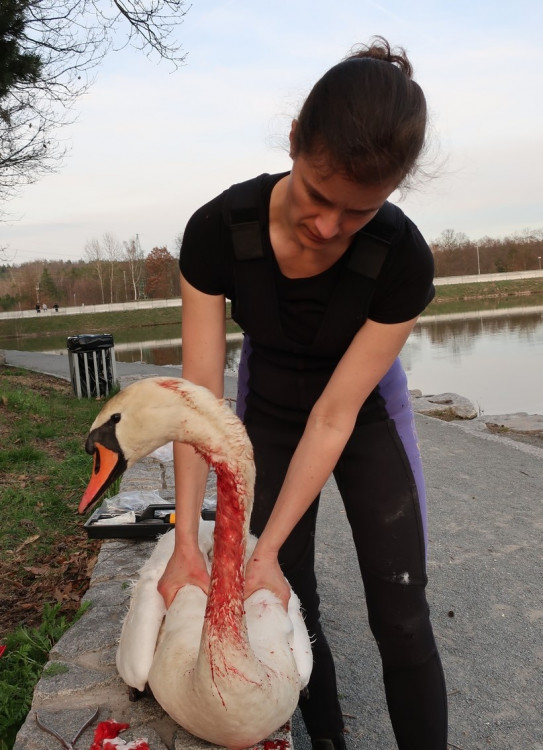 FOTOGALERIE: Zubní lékařka Hana Makoňová v akci