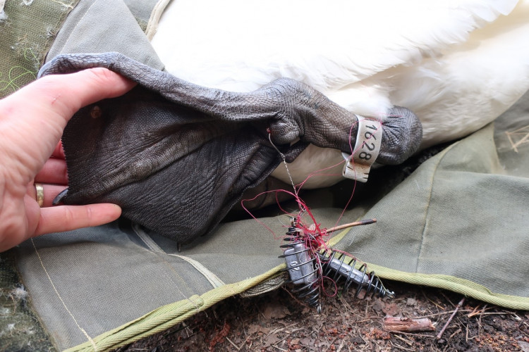 FOTOGALERIE: Zubní lékařka Hana Makoňová v akci