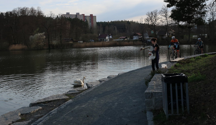 FOTOGALERIE: Zubní lékařka Hana Makoňová v akci