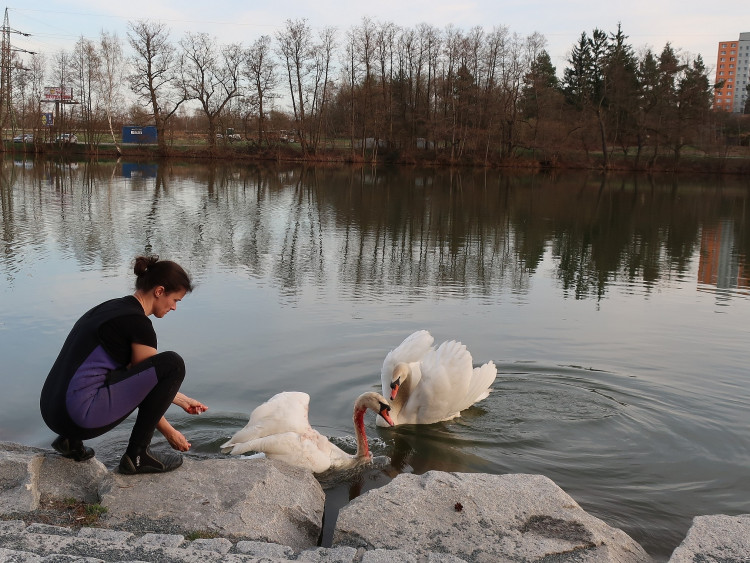 FOTOGALERIE: Zubní lékařka Hana Makoňová v akci