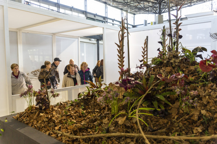 Výstaviště Flora po dvou letech ožilo jarní výstavou