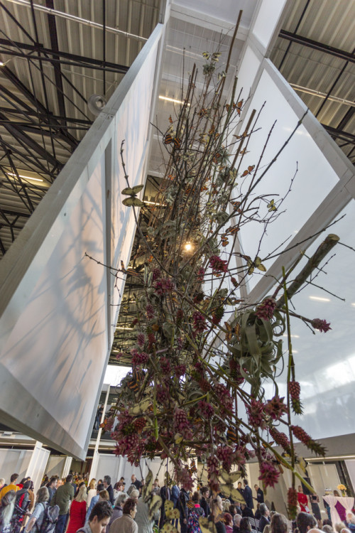 Výstaviště Flora po dvou letech ožilo jarní výstavou