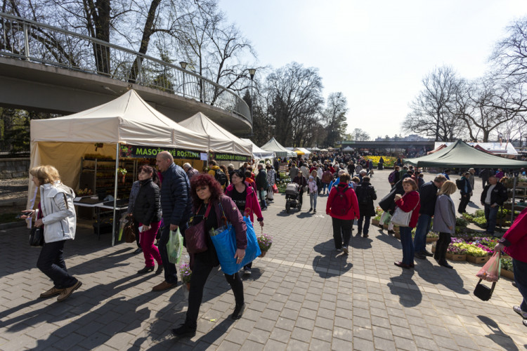 Výstaviště Flora po dvou letech ožilo jarní výstavou