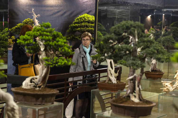 Výstaviště Flora po dvou letech ožilo jarní výstavou