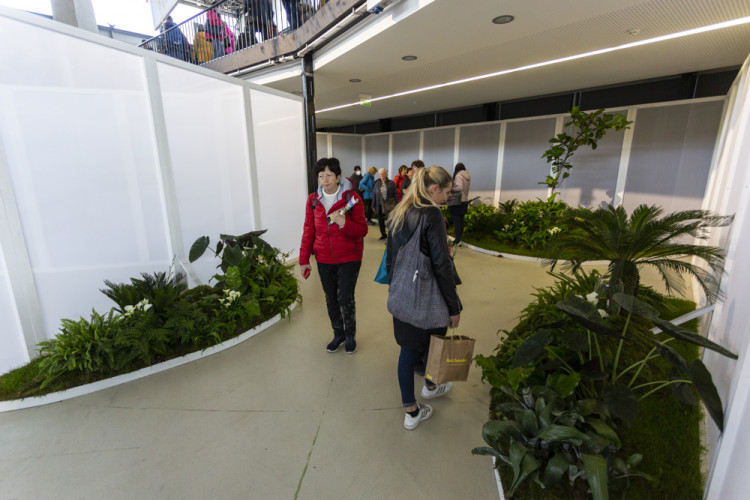 Výstaviště Flora po dvou letech ožilo jarní výstavou