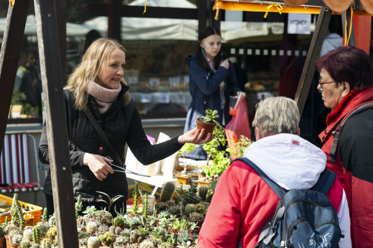 Výstaviště Flora po dvou letech ožilo jarní výstavou