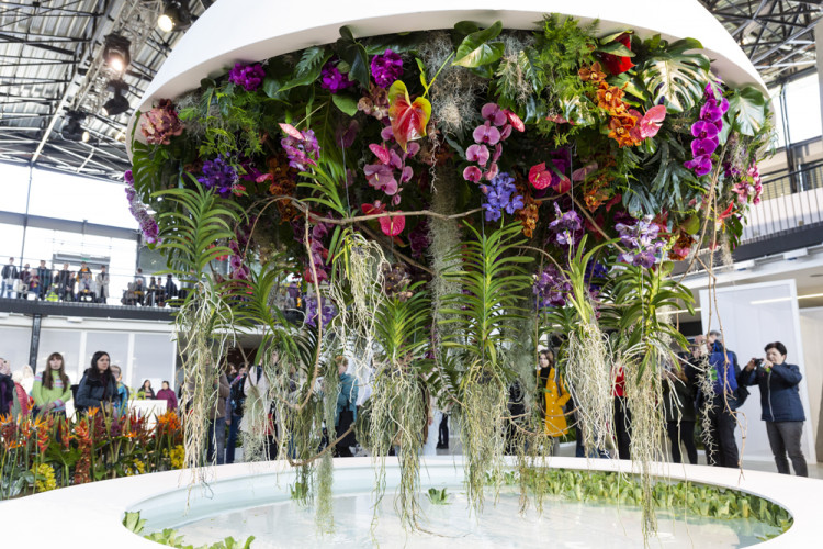 Výstaviště Flora po dvou letech ožilo jarní výstavou