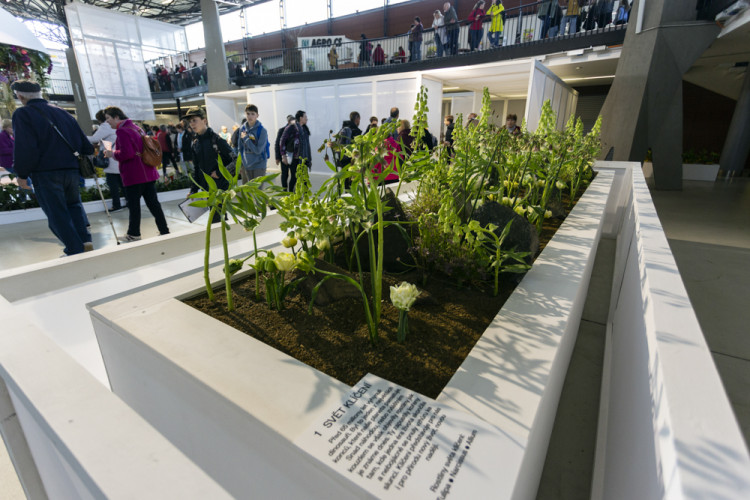 Výstaviště Flora po dvou letech ožilo jarní výstavou