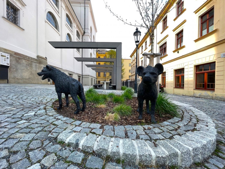 FOTOGALERIE: Sochy v ulicích Klatovy