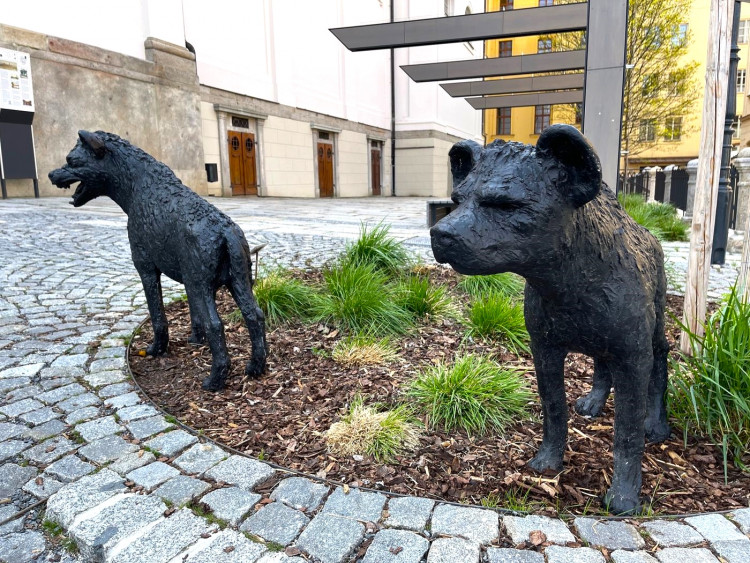 FOTOGALERIE: Sochy v ulicích Klatovy