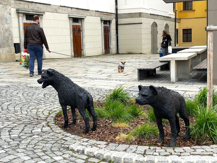 FOTOGALERIE: Sochy v ulicích Klatovy