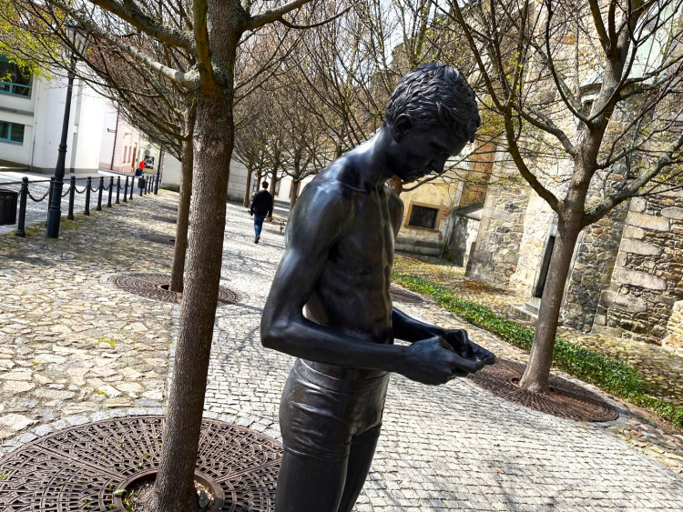 FOTOGALERIE: Sochy v ulicích Klatovy