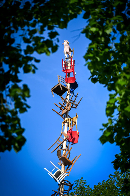 Rok 2024, foto: Radek Přibyl