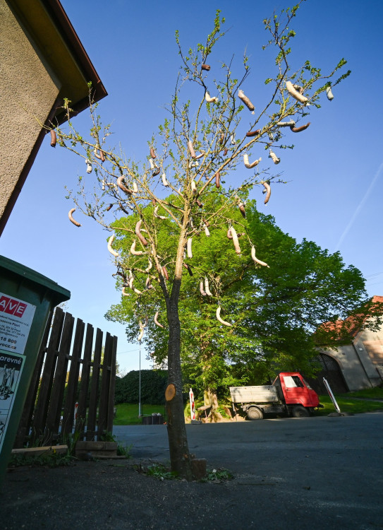 Rok 2025, foto: Radek Přibyl