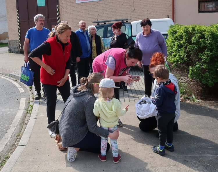FOTOGALERIE: Záchrana čapích mláďat