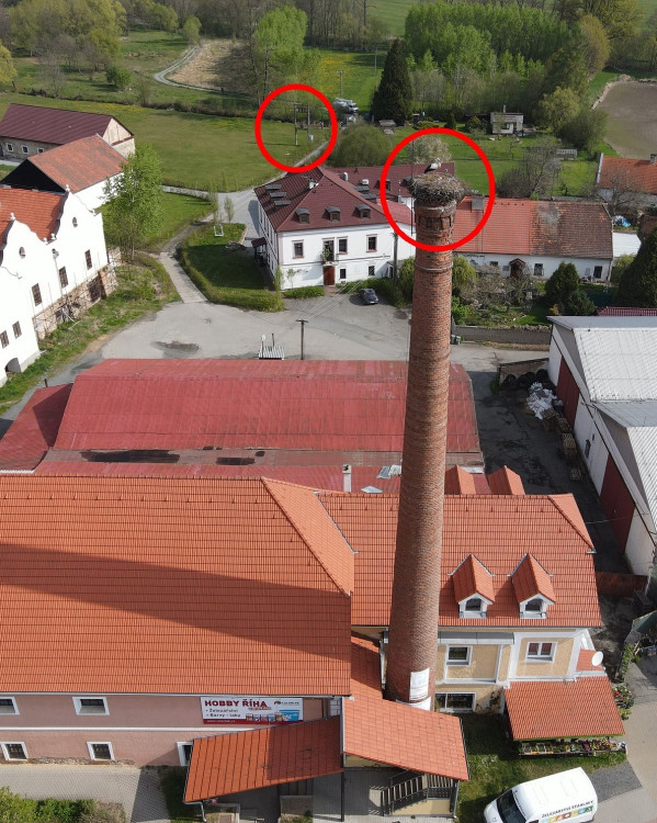 FOTOGALERIE: Záchrana čapích mláďat