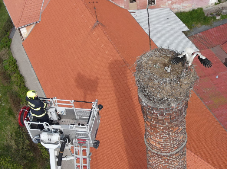 FOTOGALERIE: Záchrana čapích mláďat