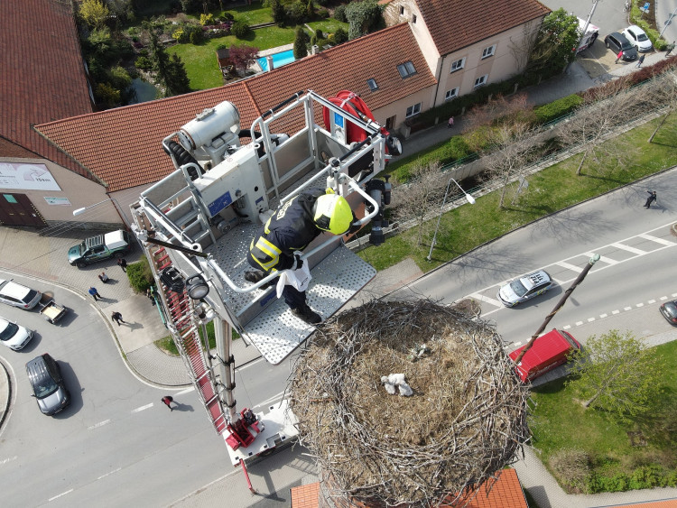 FOTOGALERIE: Záchrana čapích mláďat