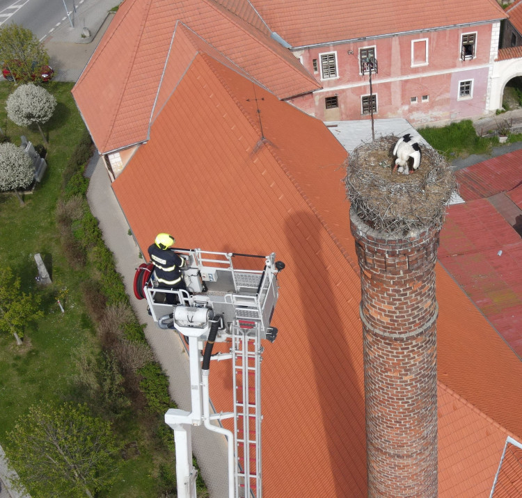 FOTOGALERIE: Záchrana čapích mláďat