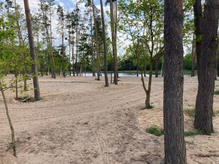 Kemp Stříbrný rybník v Hradci Králové