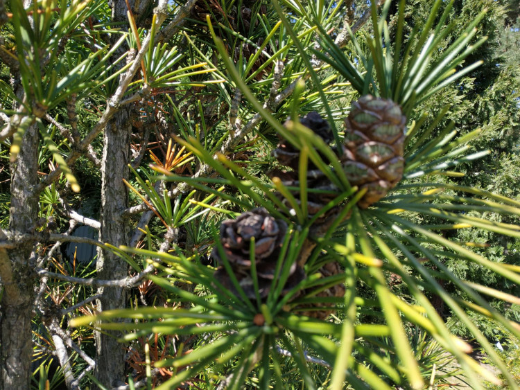 FOTOGALERIE: Botanická zahrada Petra Albrechta v Prostějově