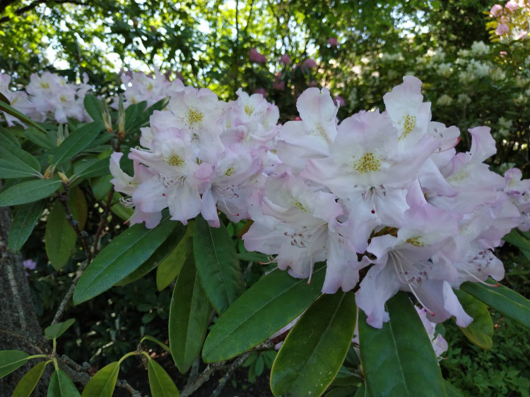 FOTOGALERIE: Botanická zahrada Petra Albrechta v Prostějově