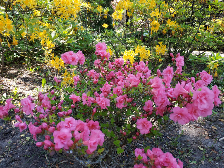 FOTOGALERIE: Botanická zahrada Petra Albrechta v Prostějově