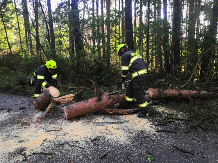 foto: Hasiči města Dobřany