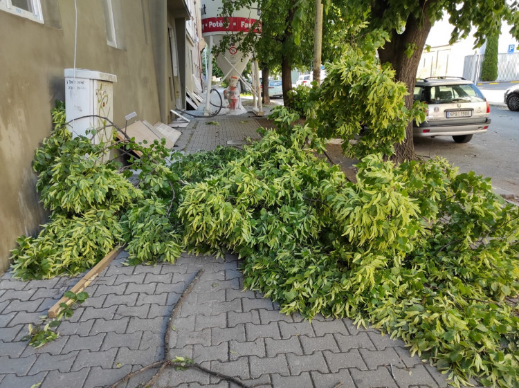 FOTOGALERIE: Následky bouřek z 20.5.2022