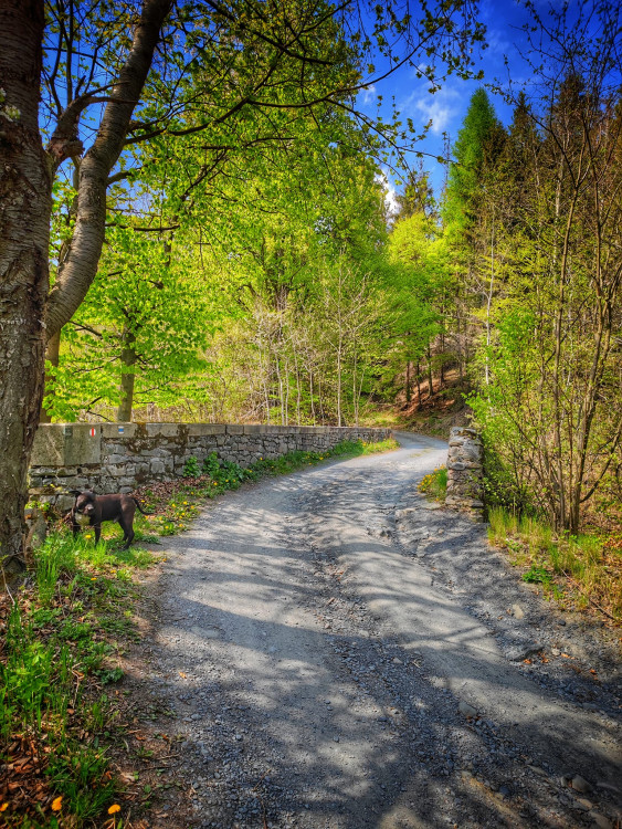 FOTOGALERIE: Malý Rabštýn