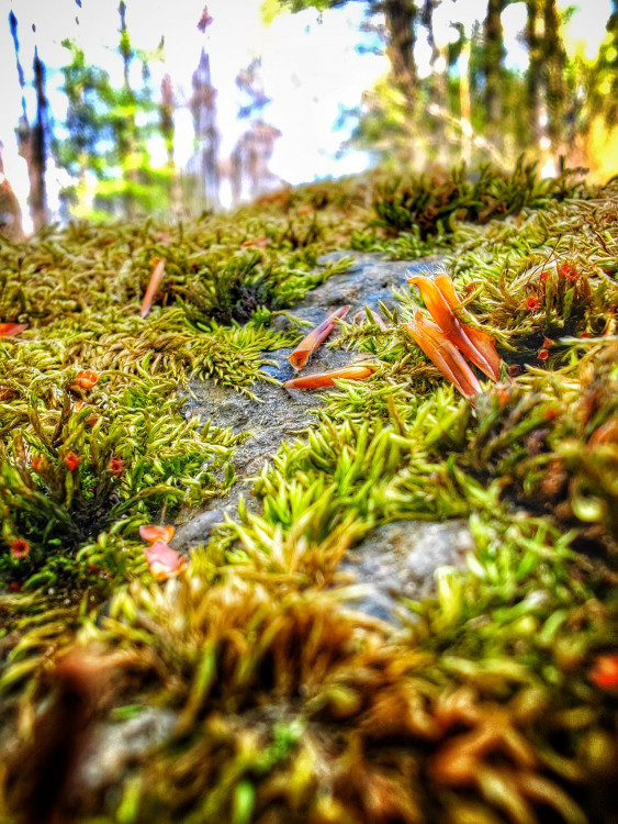 FOTOGALERIE: Malý Rabštýn