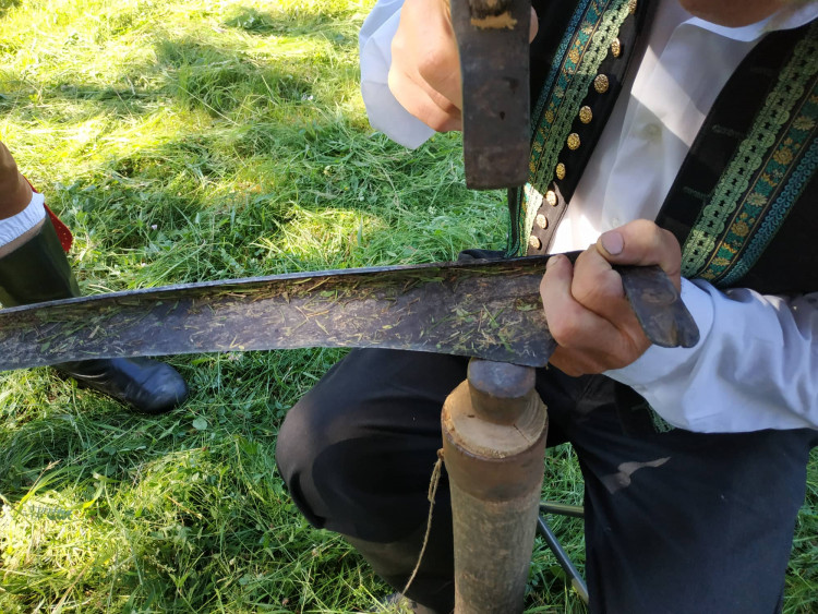 FOTOGALERIE: Zámecky sečeni lóke v Čechách pod Kosířem