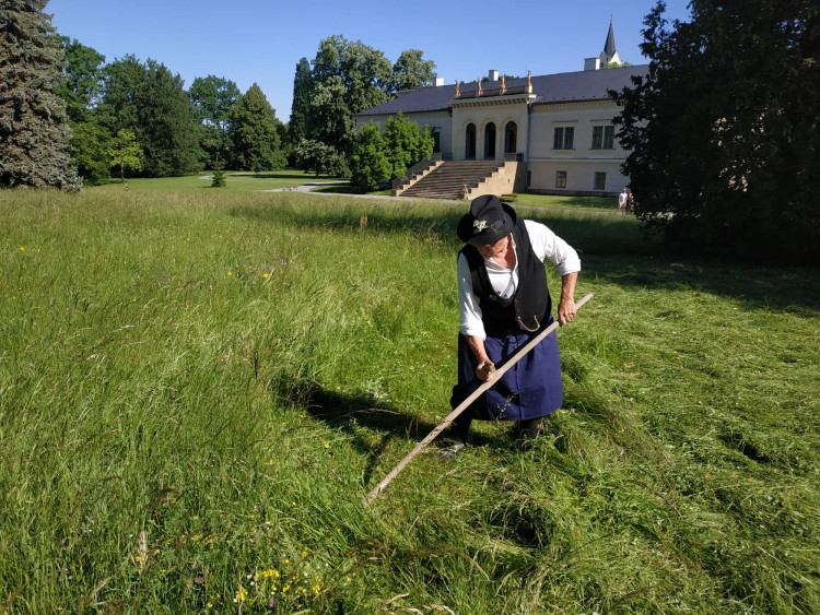FOTOGALERIE: Zámecky sečeni lóke v Čechách pod Kosířem
