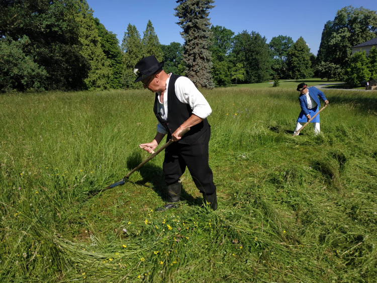 FOTOGALERIE: Zámecky sečeni lóke v Čechách pod Kosířem