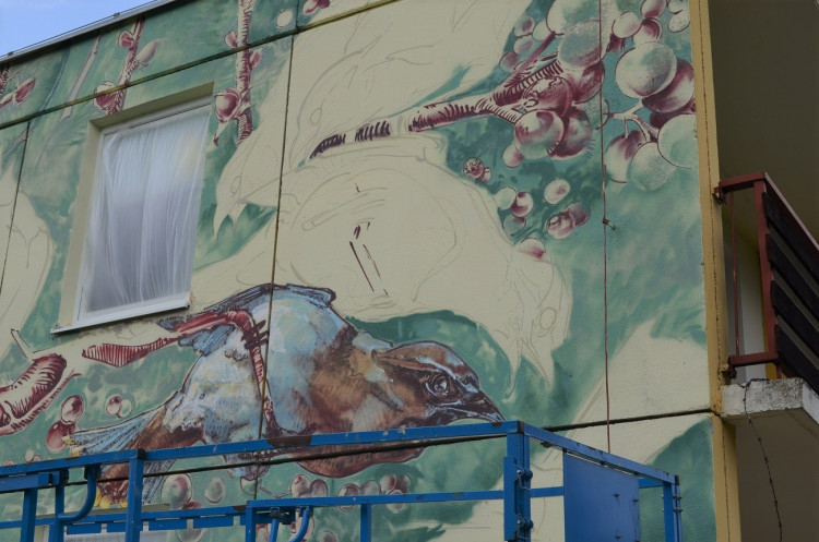 Julia Heinisch (AT) a Frederic Sontag (DE)