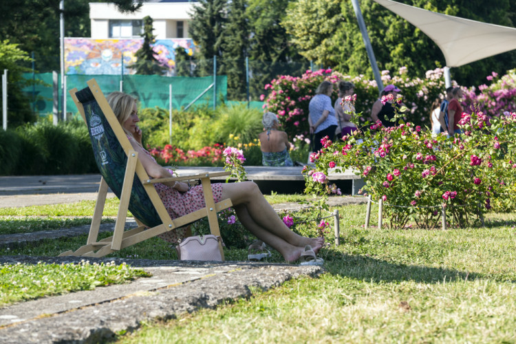 Tisíce květů, přednášky a muzika. Olomoucké rozárium slaví padesáté výročí