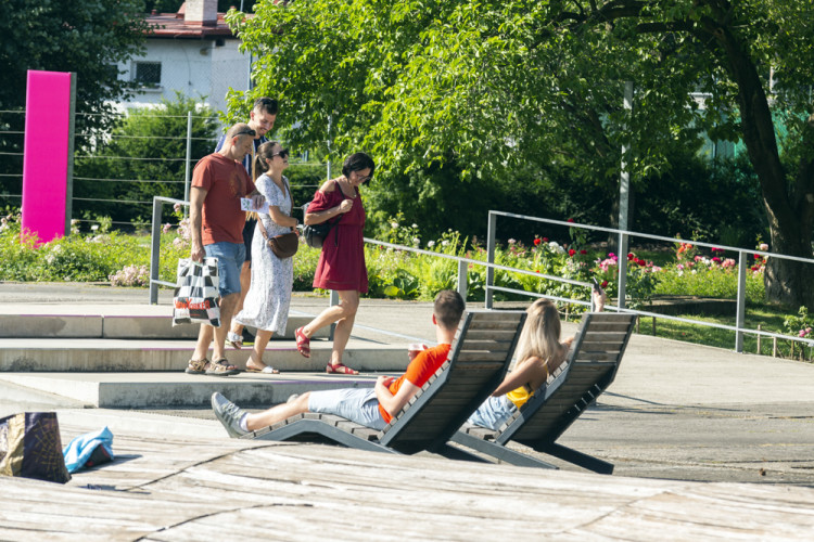 Tisíce květů, přednášky a muzika. Olomoucké rozárium slaví padesáté výročí
