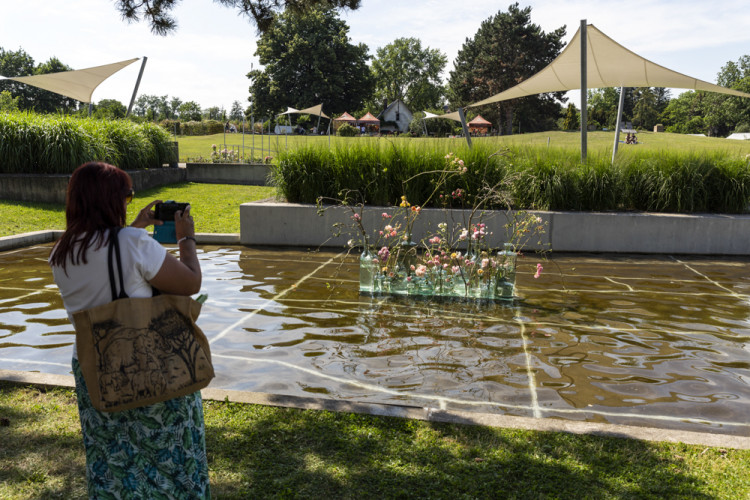 Tisíce květů, přednášky a muzika. Olomoucké rozárium slaví padesáté výročí