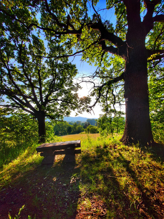 FOTOGALERIE: Rozhledna Hraniční vrch