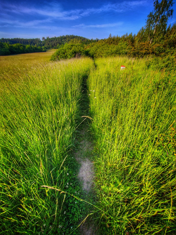 FOTOGALERIE: Rozhledna Hraniční vrch