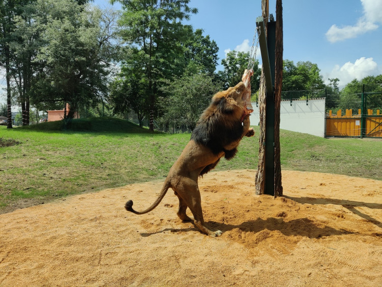 Foto: Plzeňská Drbna