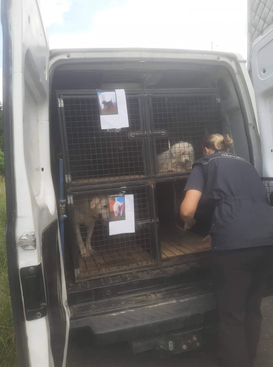 FOTOGALERIE: Kauza Nemanice