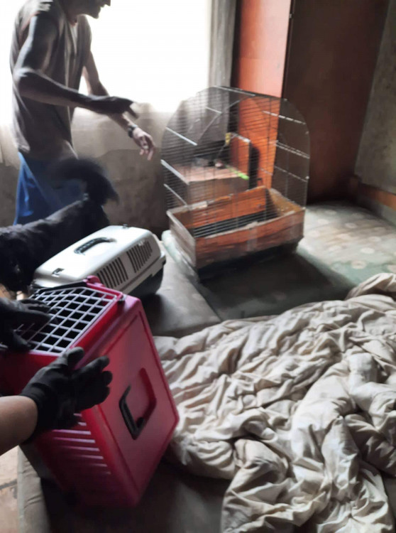 FOTOGALERIE: Kauza Nemanice