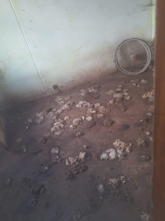 FOTOGALERIE: Kauza Nemanice