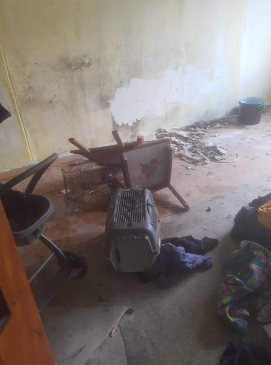 FOTOGALERIE: Kauza Nemanice